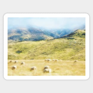 Sheep Mist Sticker